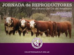 aP | Jornada reproductores
