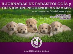 aP | Jornada pequeños animales