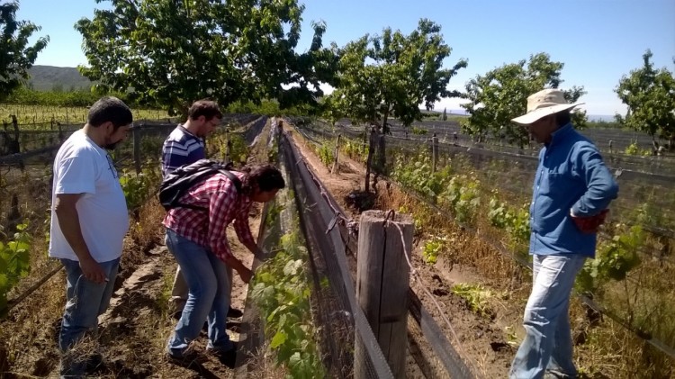 aP | Formadores extensión rural