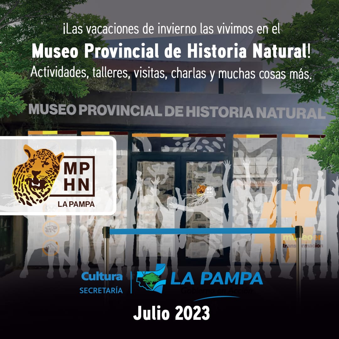 aP | Museo